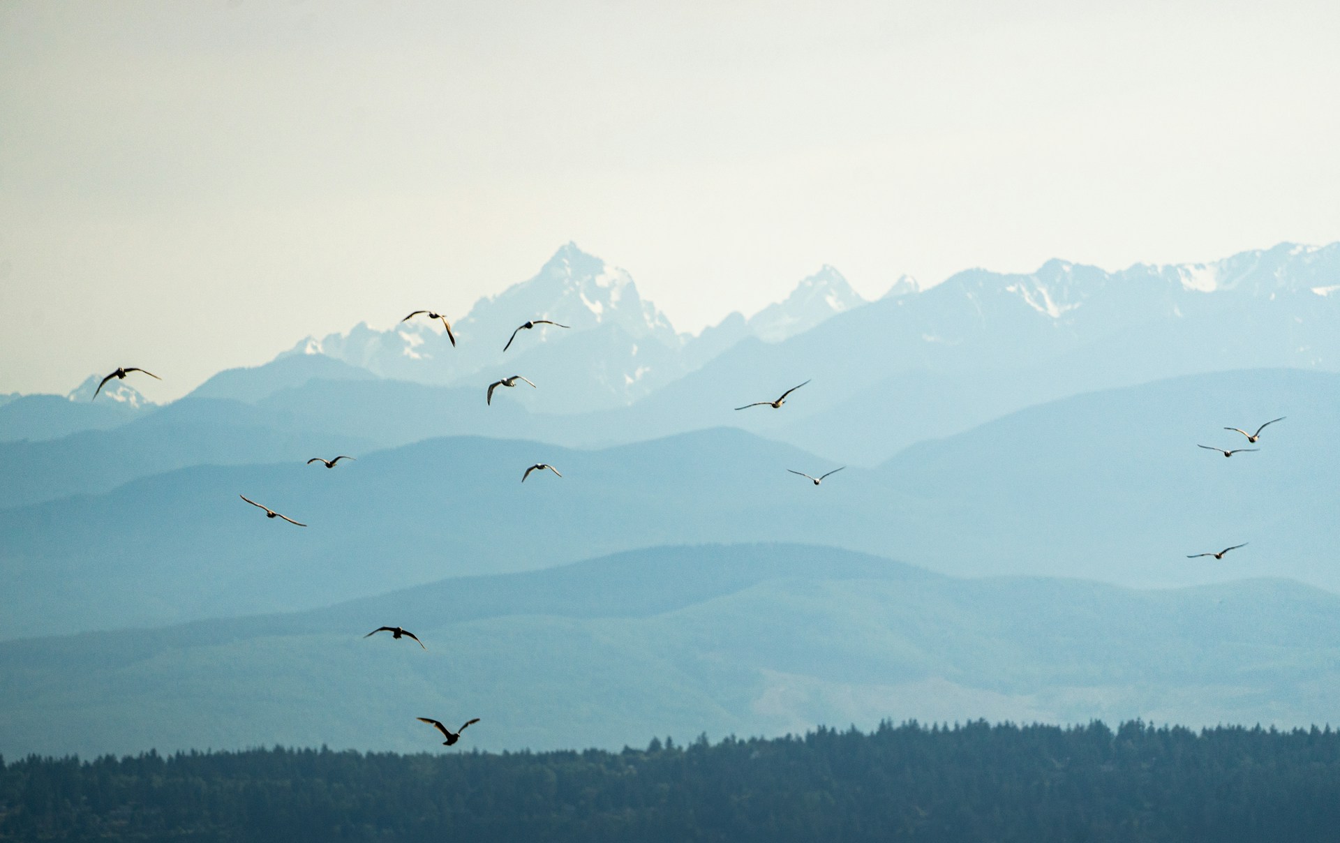 Remote Work Revolution: Maximizing Productivity in a Virtual World